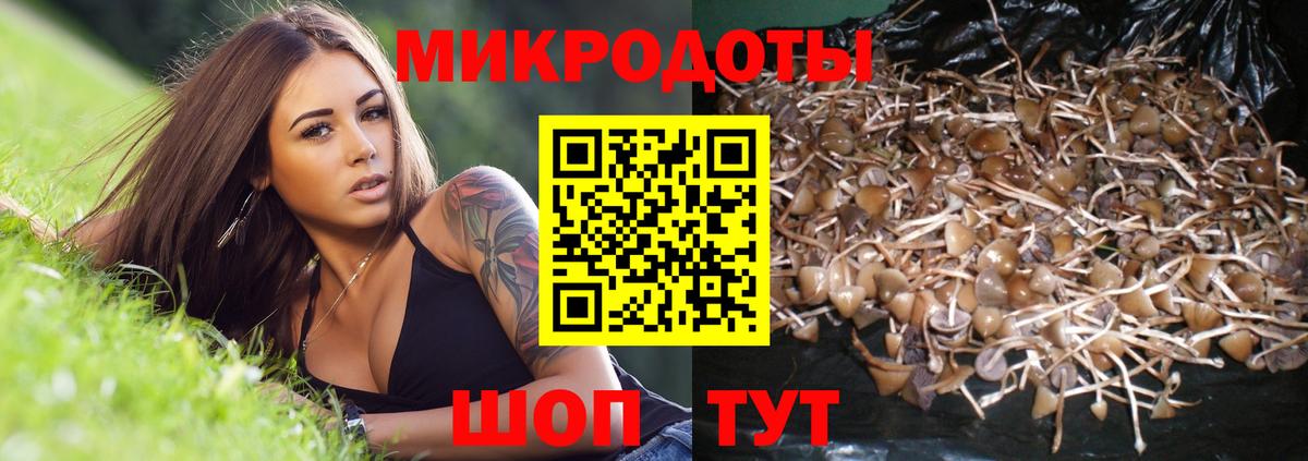 Псилоцибиновые грибы мицелий  Вход с VPN  Светлоград 