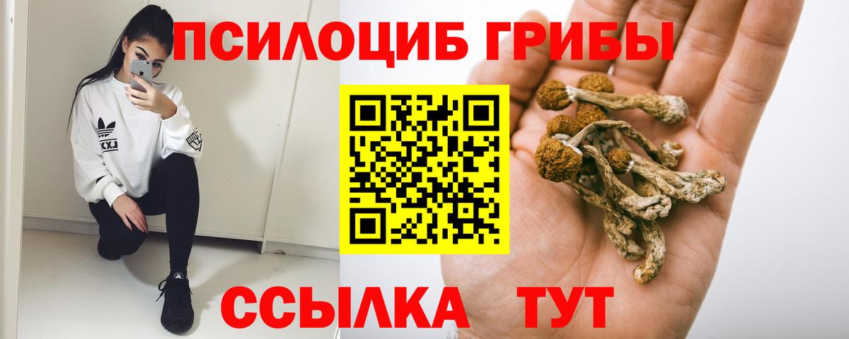 Галлюциногенные грибы MAGIC MUSHROOMS Светлоград