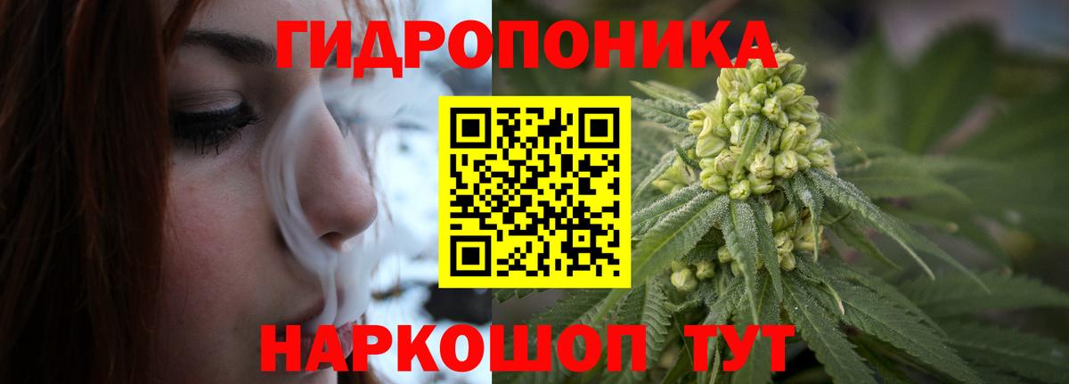Шишки марихуана Amnesia  Вход с VPN  Светлоград  Шишки марихуана Bruce Banner 